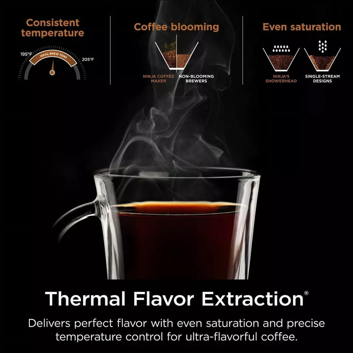 Ninja Hot & Iced XL Coffee Maker with Rapid Cold Brew, 4 Brew Styles, Single-Serve Coffee Brewer, Removable Reservoir, CM371 Black