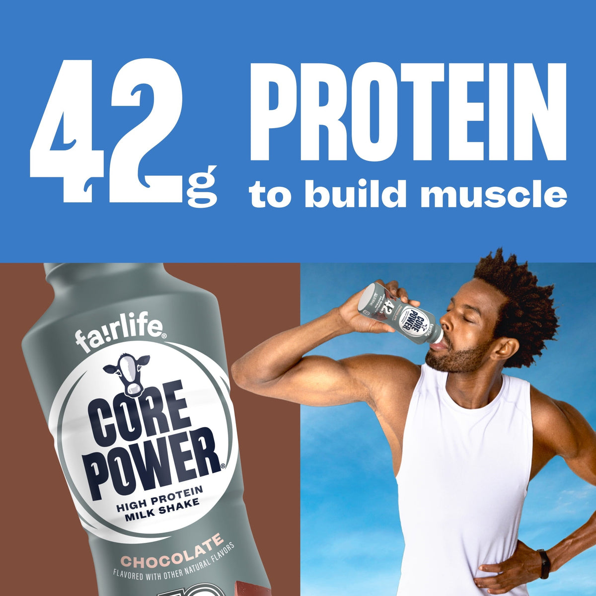 Core Power High Protein Shake, Chocolate, 42g Bottle, 14oz, 12 Pack